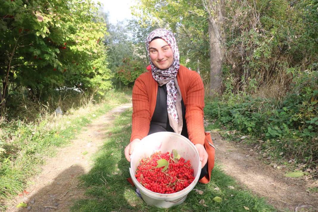 Erciyes'in eteklerinde 'kırmızı altın' mesaisi başladı: Kilosu 100 TL'ye kadar alıcı buluyor 15